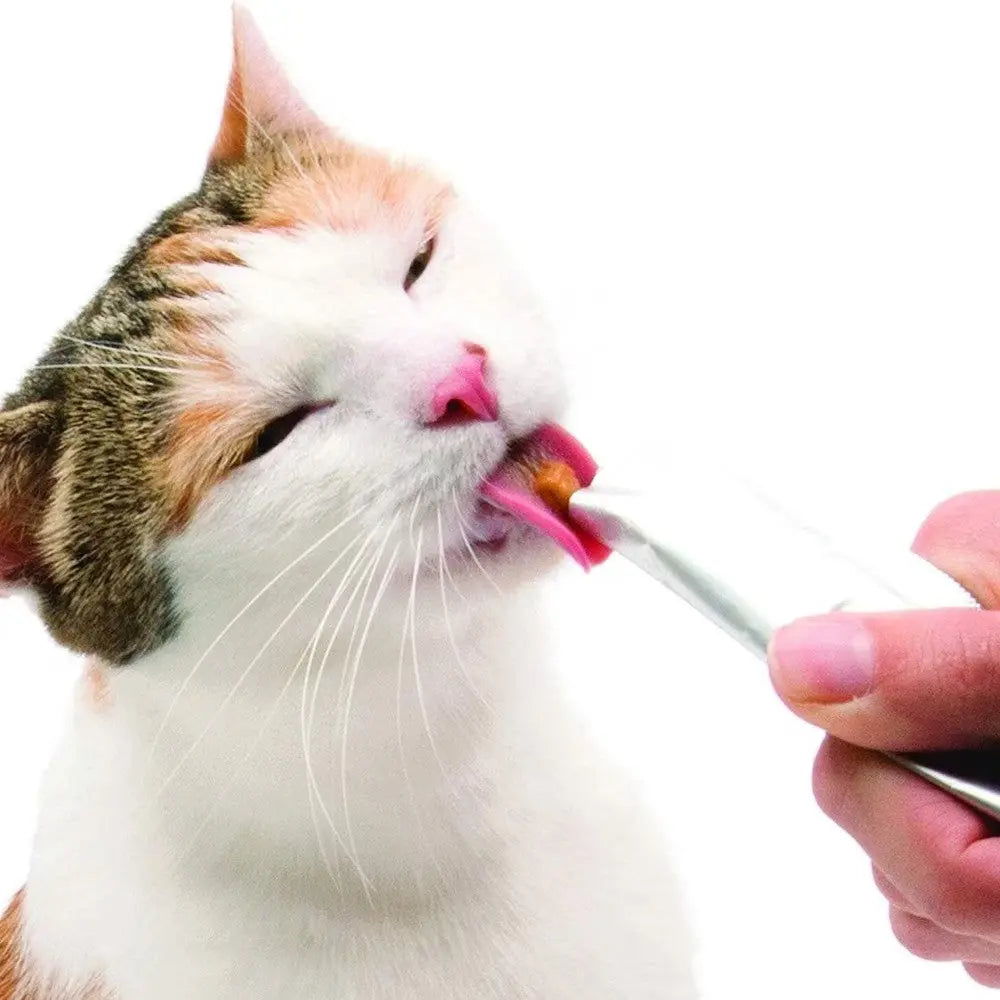 Cat enjoying a tasty treat from a spoon, showcasing a happy feeding moment.