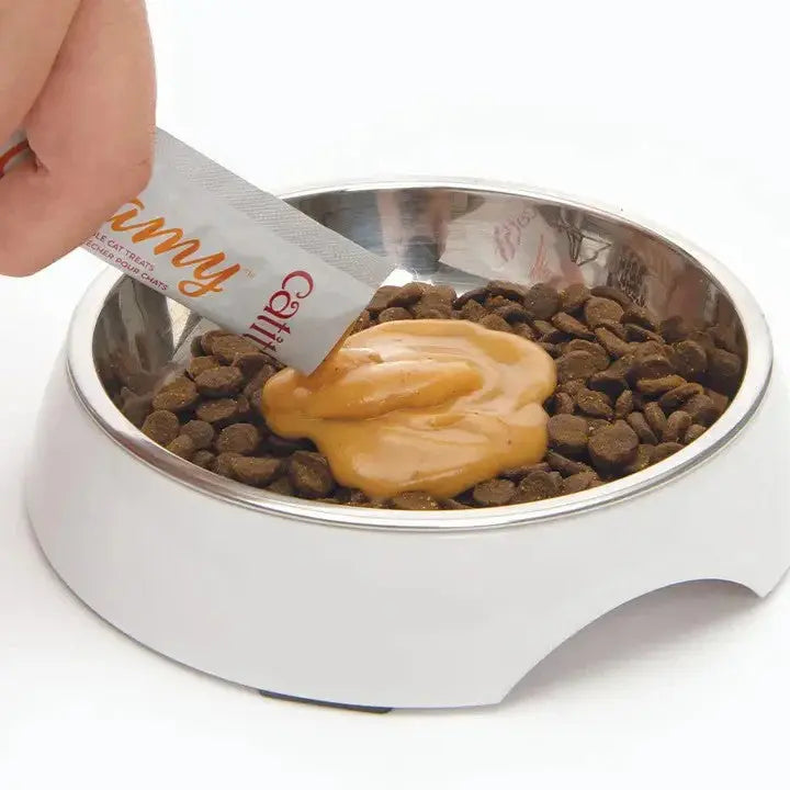 Hand pouring peanut butter into a bowl of dog kibble for a tasty pet meal enhancement.