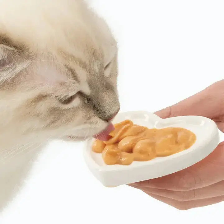Cat enjoying a creamy treat from a heart-shaped dish, highlighting pet feeding moments.