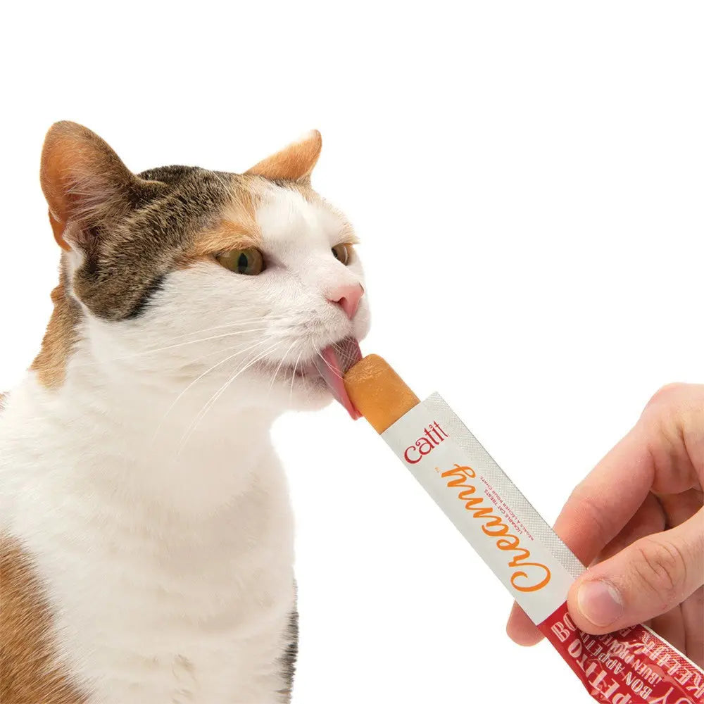 Cat enjoying a creamy treat from a tube, highlighting pet-friendly snacks and flavors.