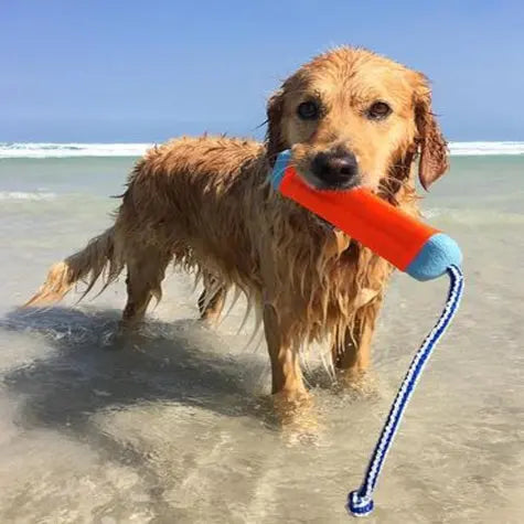 Golden retriever playing in the ocean with a colorful toy in its mouth.