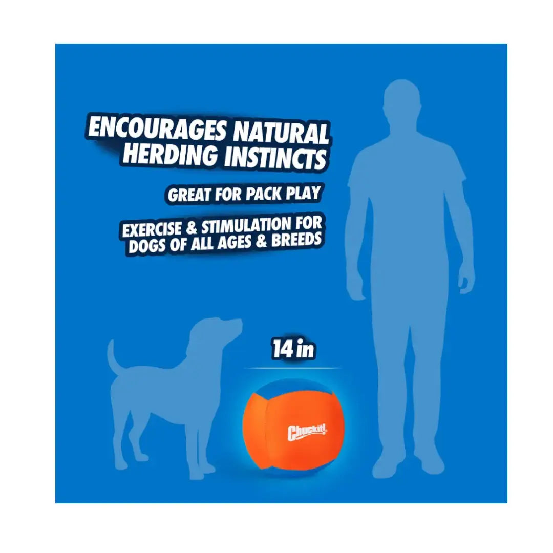 Chuckit! Big Air Ball Dog Toy   | Canine & Co
