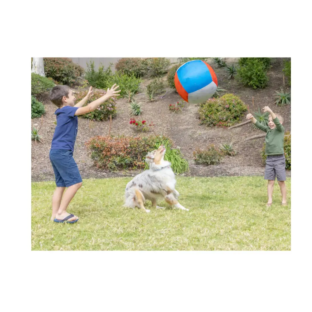 Chuckit! Big Air Ball Dog Toy   | Canine & Co