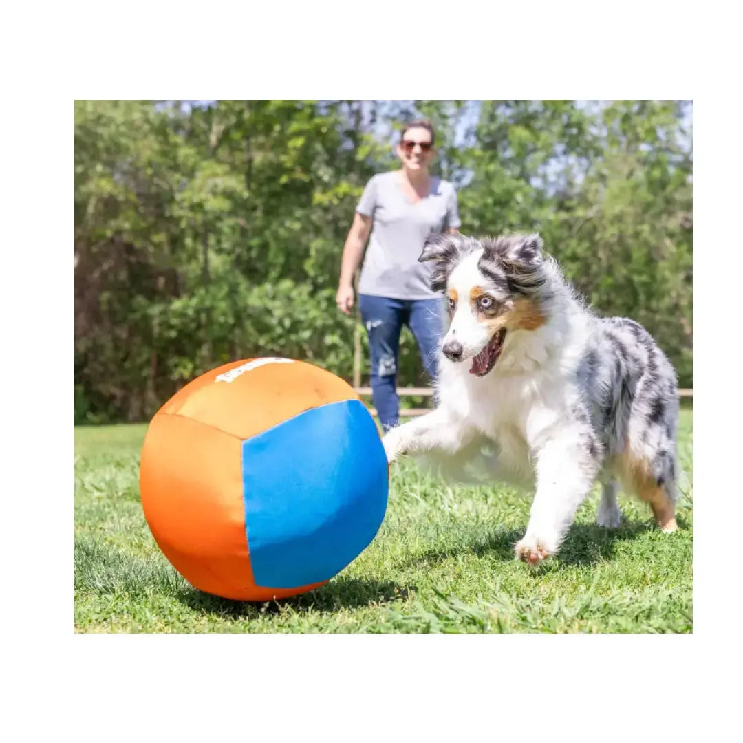 Chuckit! Big Air Ball Dog Toy   | Canine & Co