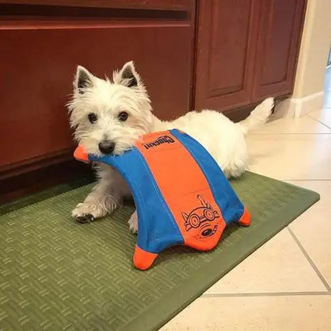 Playful dog with a colorful chew toy on a green mat in a cozy kitchen setting.