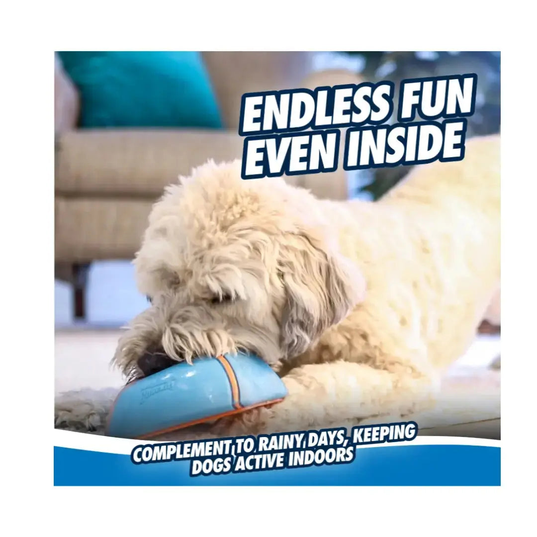 Chuckit! Indoor Super Slider Dog Toy   | Canine & Co