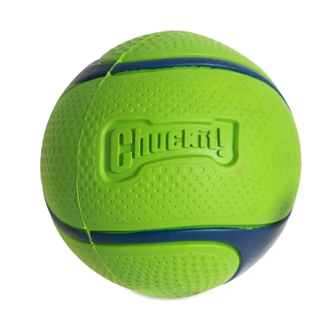 Chuckit! Sniff & Fetch Duo Dog Balls   | Canine & Co