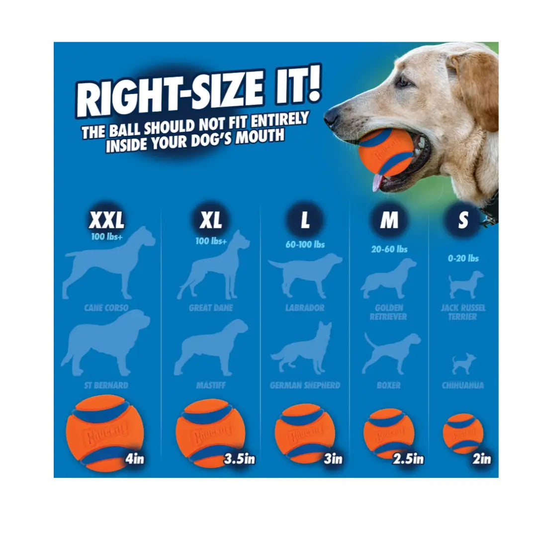 Chuckit! Sniff & Fetch Duo Dog Balls   | Canine & Co