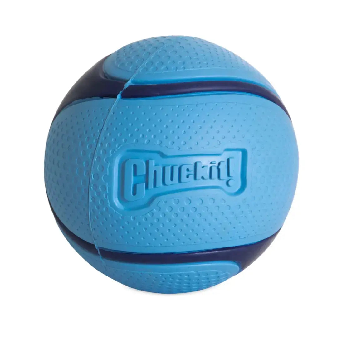 Chuckit! Sniff & Fetch Duo Dog Balls   | Canine & Co