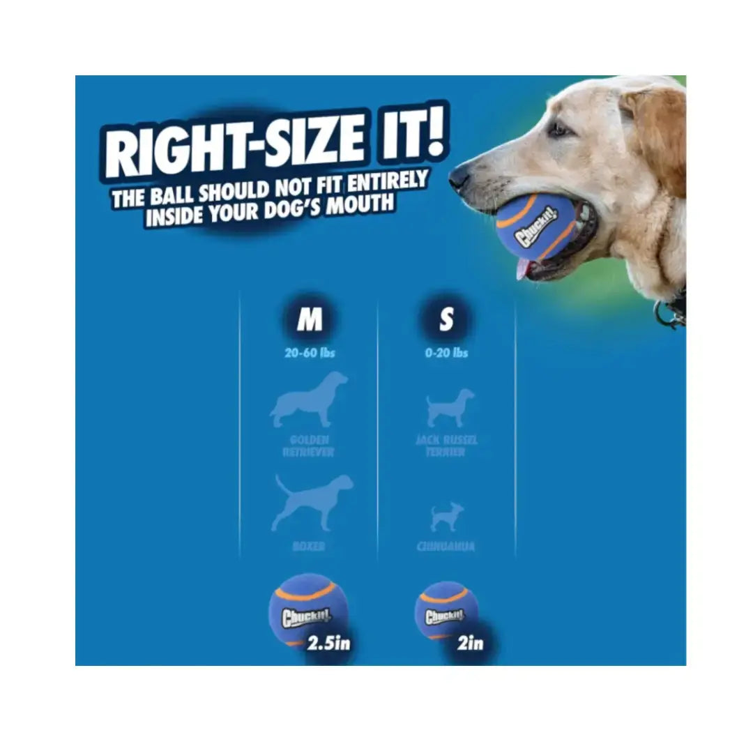 Chuckit! Squeaker Tennis Ball for Dogs   | Canine & Co