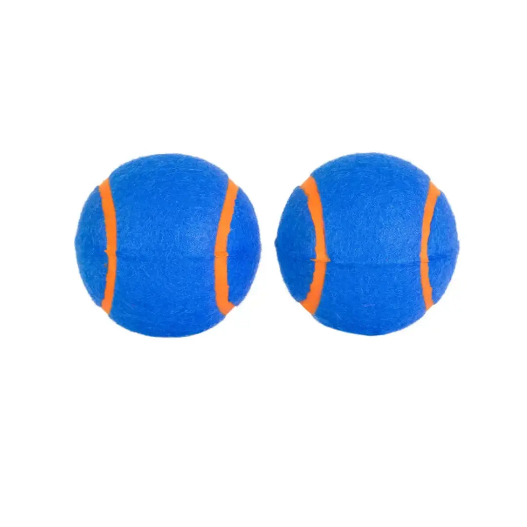 Chuckit! Squeaker Tennis Ball for Dogs   | Canine & Co