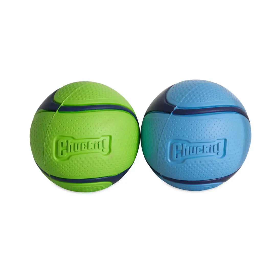 Chuckit! Sniff Fetch Duo Dog Balls