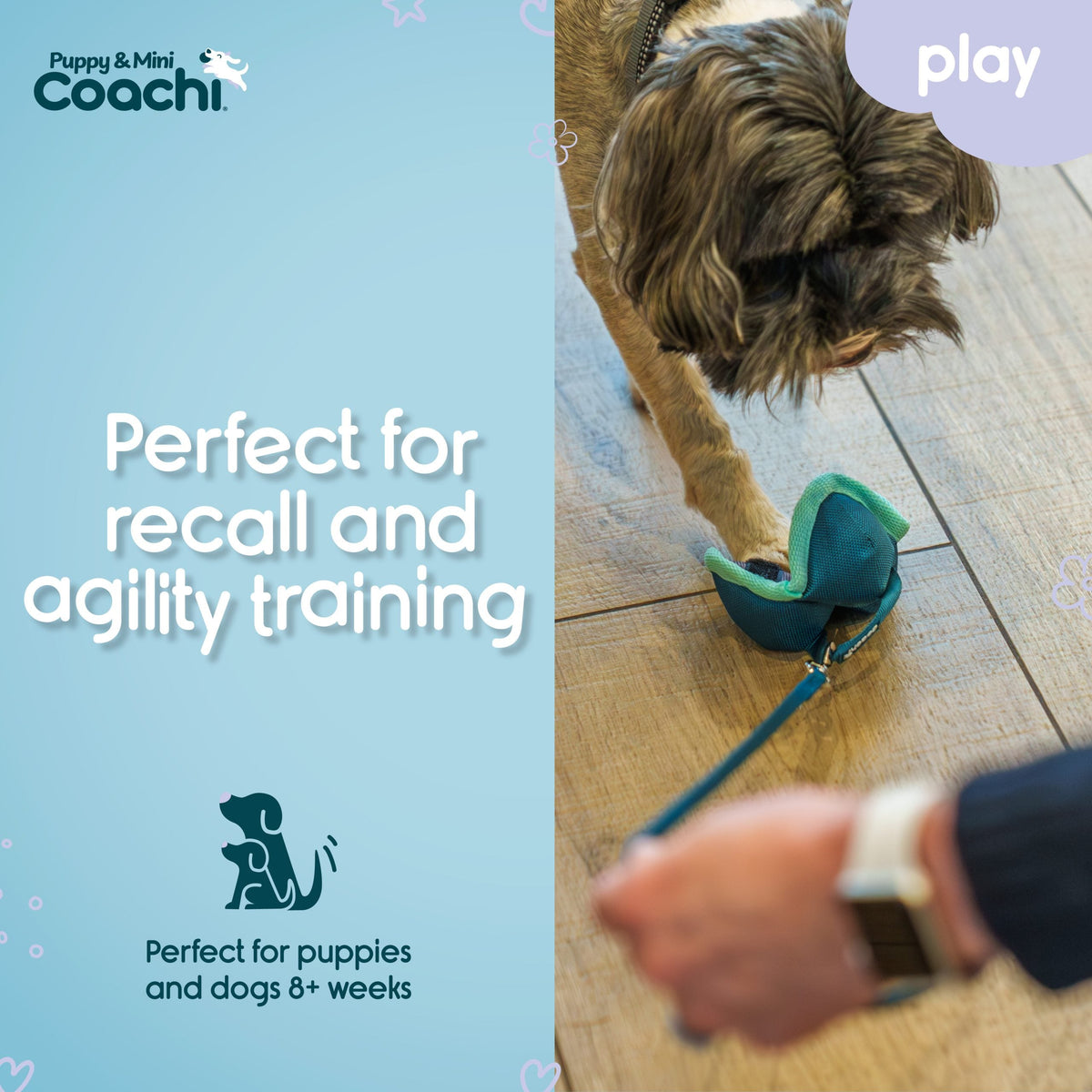 Company of Animals Coachi Chase & Treat Puppy & Mini