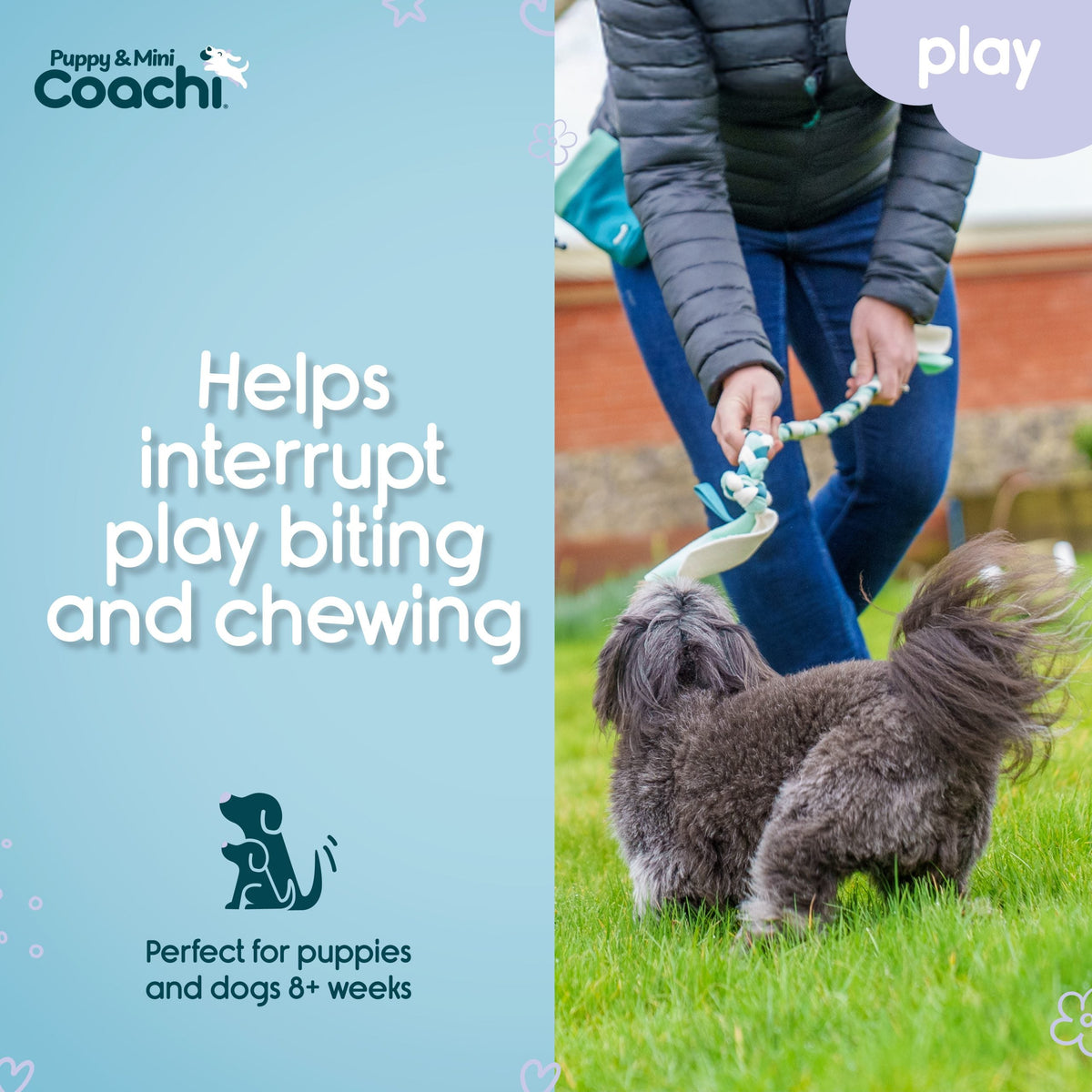 Company of Animals Coachi Tuggi Tug Puppy & Mini