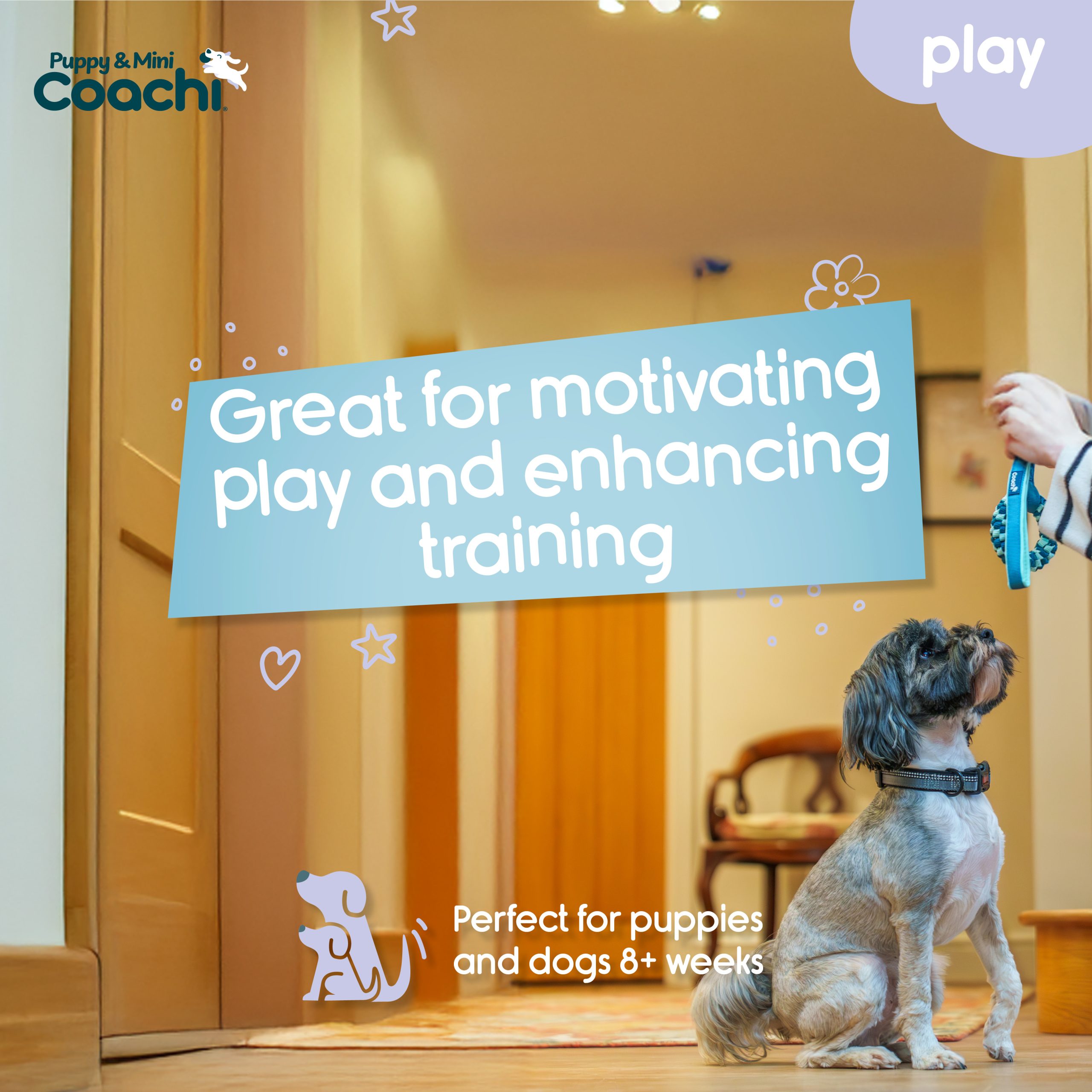 Company of Animals Coachi Tuggi Helix Puppy & Mini