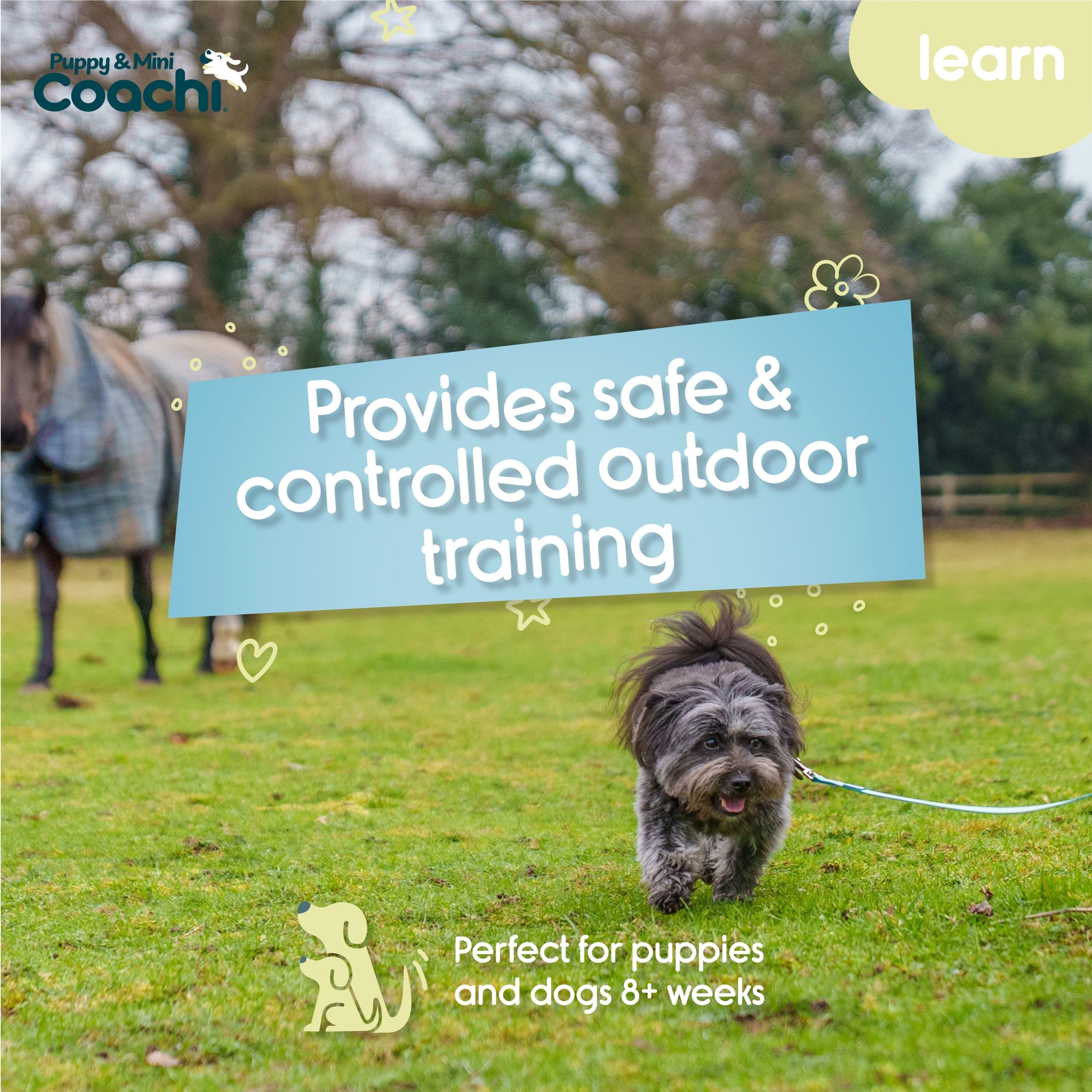 Company of Animals Coachi Waterproof Training Line Puppy & Mini