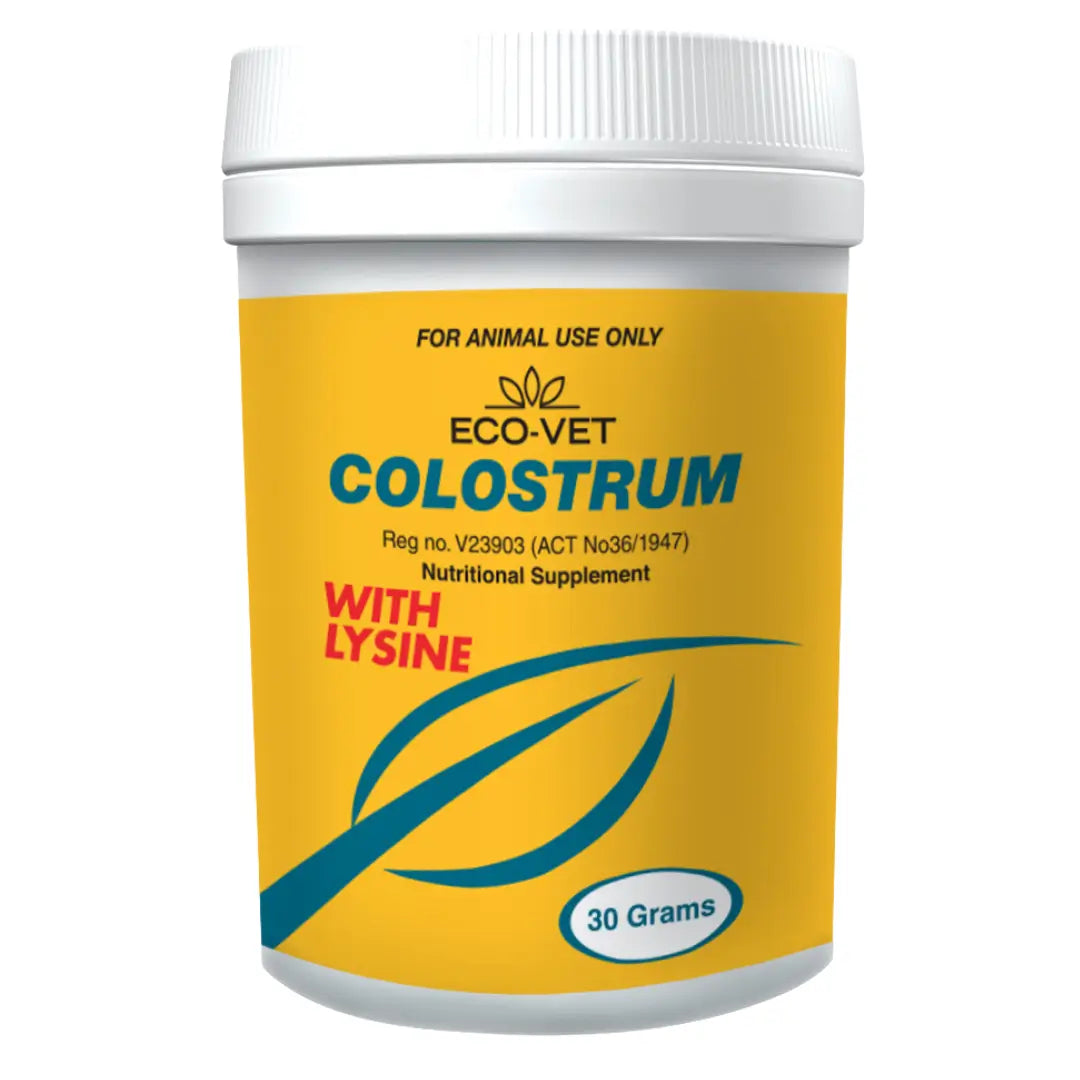 Colostrum Powder For Dogs and Cats