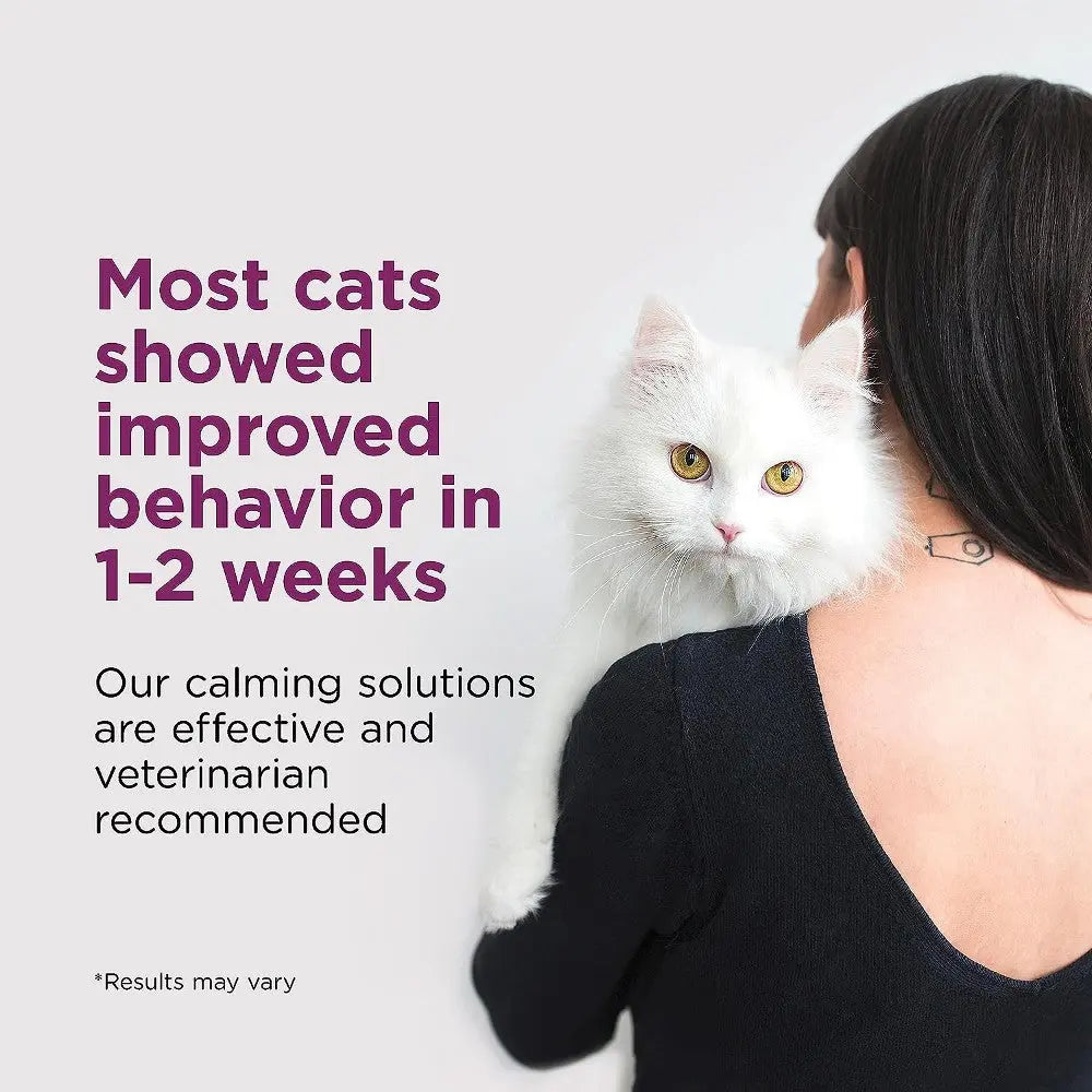 Cat owner with a white cat, promoting calming solutions for improved feline behavior in 1-2 weeks.