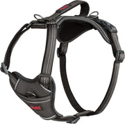 Company Of Animals Halti Anatomy Dog Harness   | Canine & Co