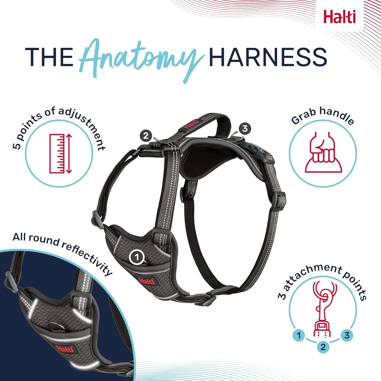 Company Of Animals Halti Anatomy Dog Harness   | Canine & Co