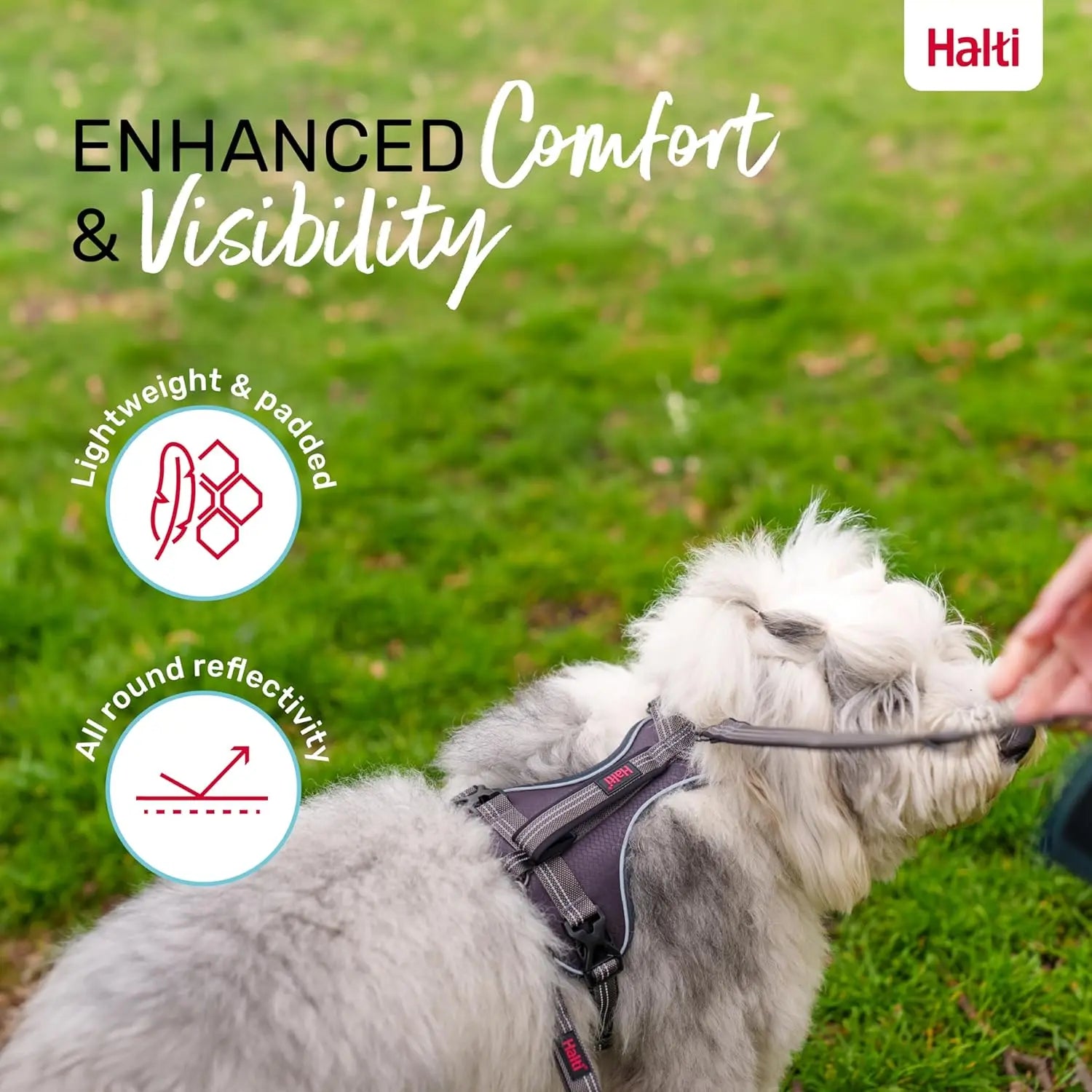 Company Of Animals Halti Anatomy Dog Harness   | Canine & Co