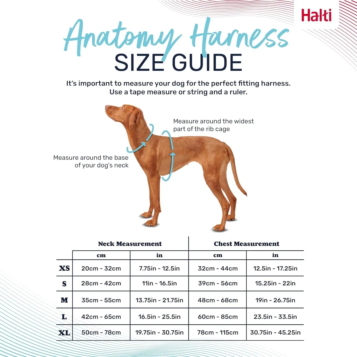 Company Of Animals Halti Anatomy Dog Harness   | Canine & Co