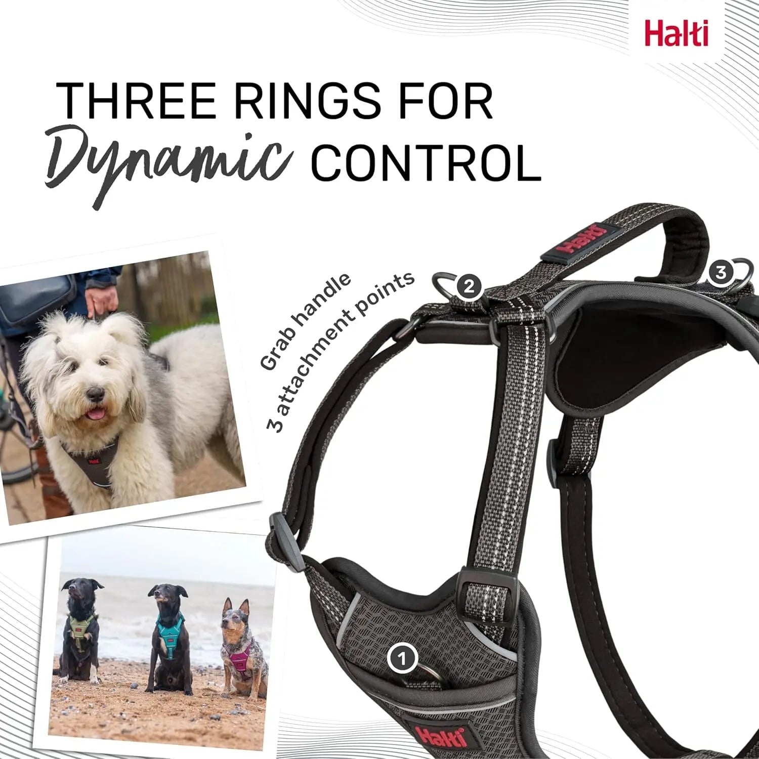 Company Of Animals Halti Anatomy Dog Harness   | Canine & Co