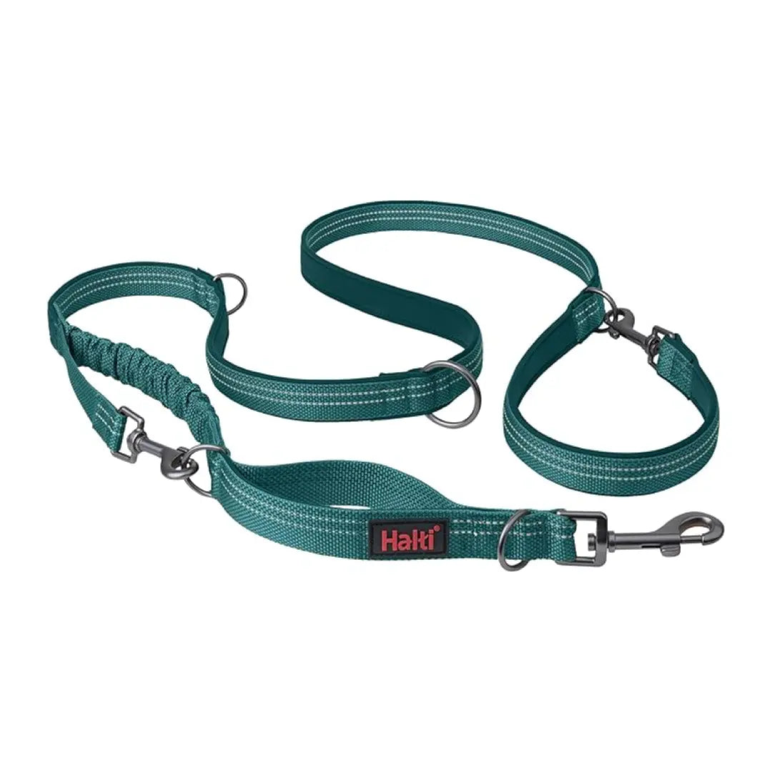 Company Of Animals Halti Anatomy Dog Multi Lead   | Canine & Co