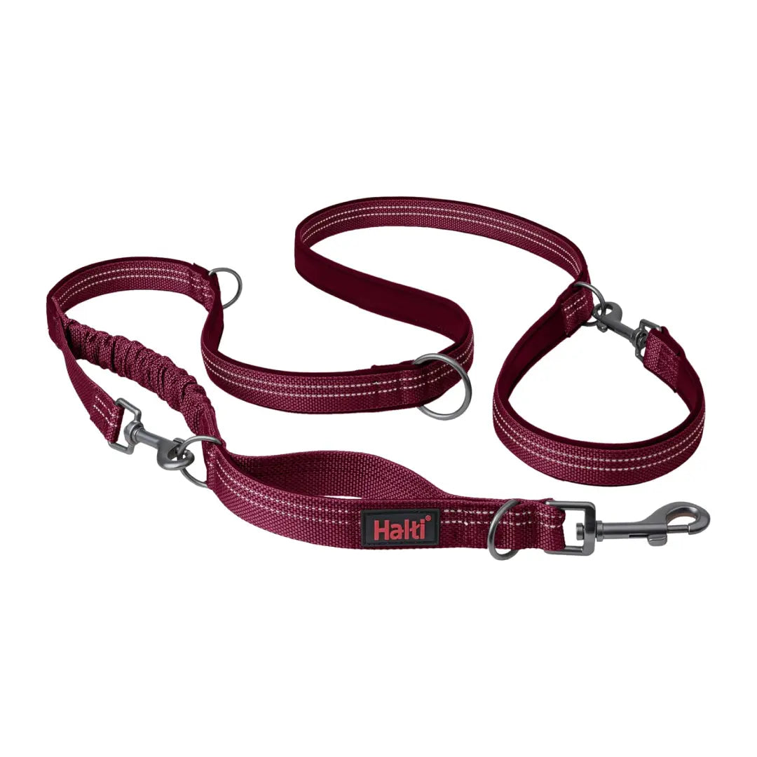 Company Of Animals Halti Anatomy Dog Multi Lead   | Canine & Co
