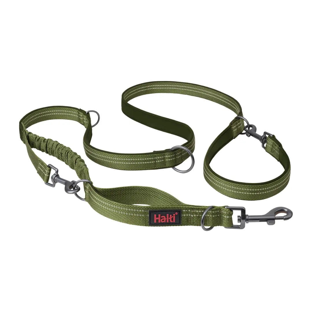Company Of Animals Halti Anatomy Dog Multi Lead   | Canine & Co