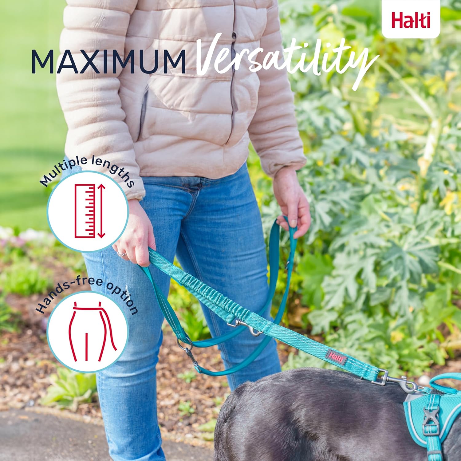 Company Of Animals Halti Anatomy Dog Multi Lead   | Canine & Co