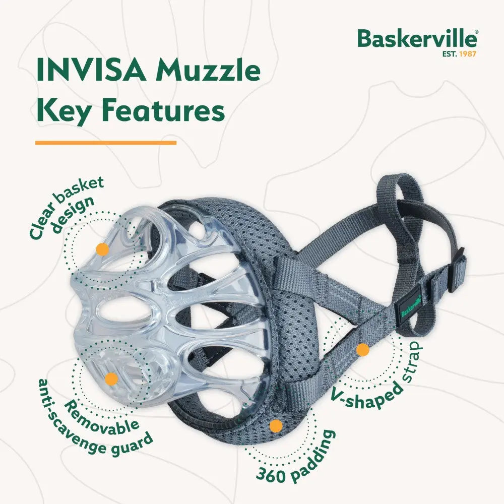 INVISIA Muzzle features a clear basket design, removable guard, and 360 padding for comfort and safety.