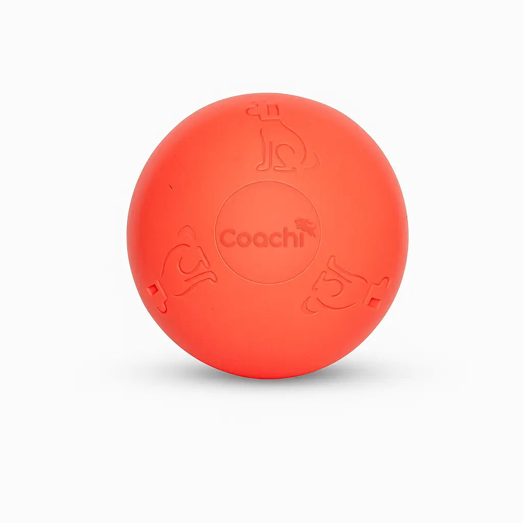 Company of Animals Coachi Boomi Ball Dog Ball Toy
