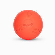 Company of Animals Coachi Boomi Ball Dog Ball Toy