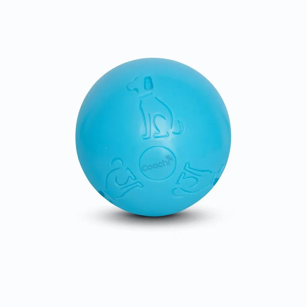 Company of Animals Coachi Boomi Ball Dog Ball Toy