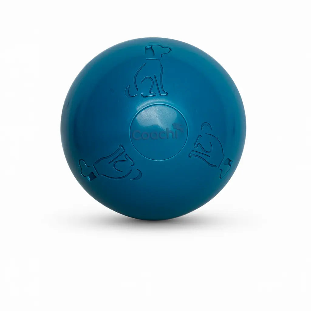 Company of Animals Coachi Boomi Ball Dog Ball Toy