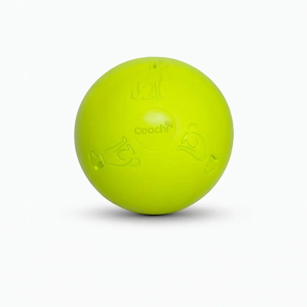 Company of Animals Coachi Boomi Ball Dog Ball Toy