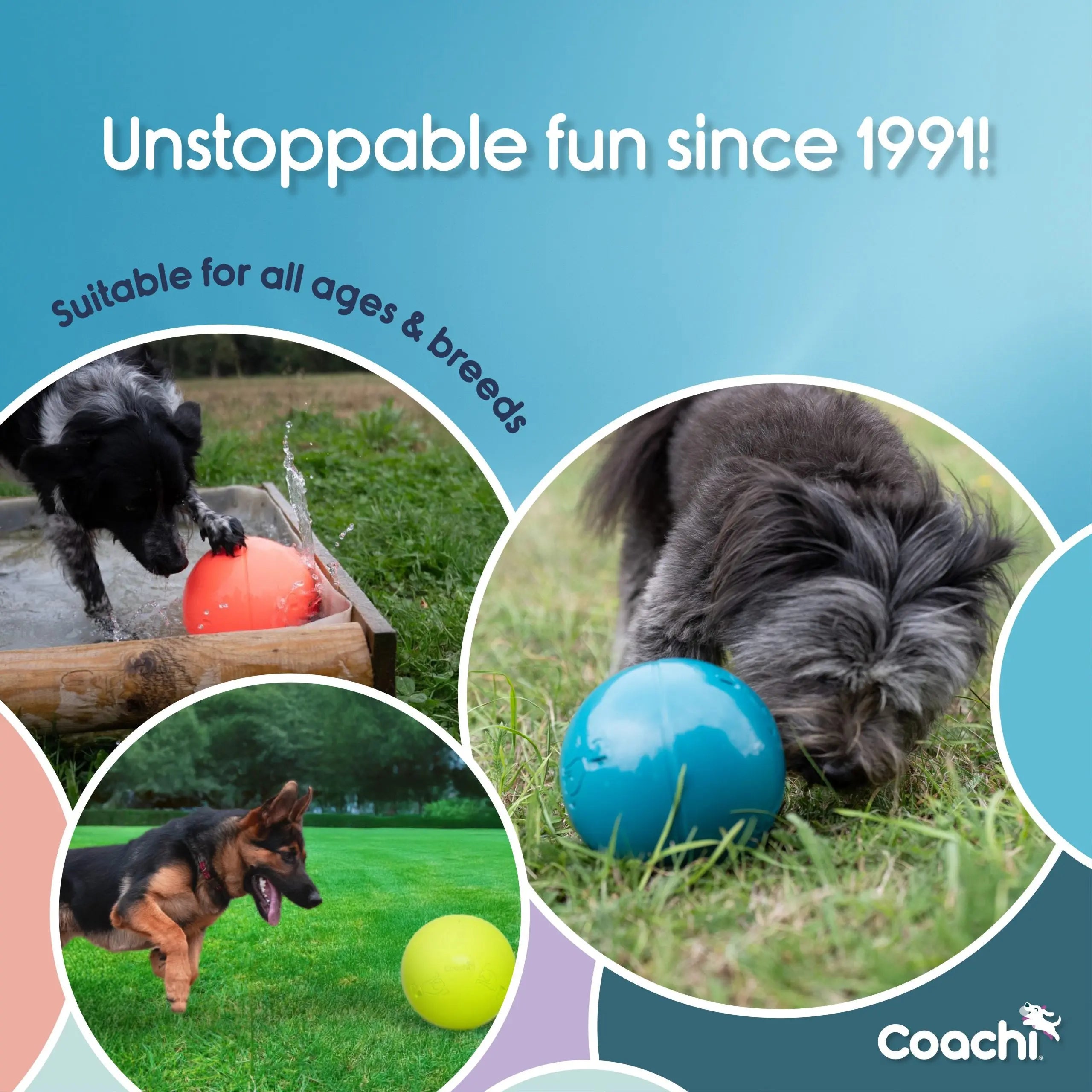 Company of Animals Coachi Boomi Ball Dog Ball Toy