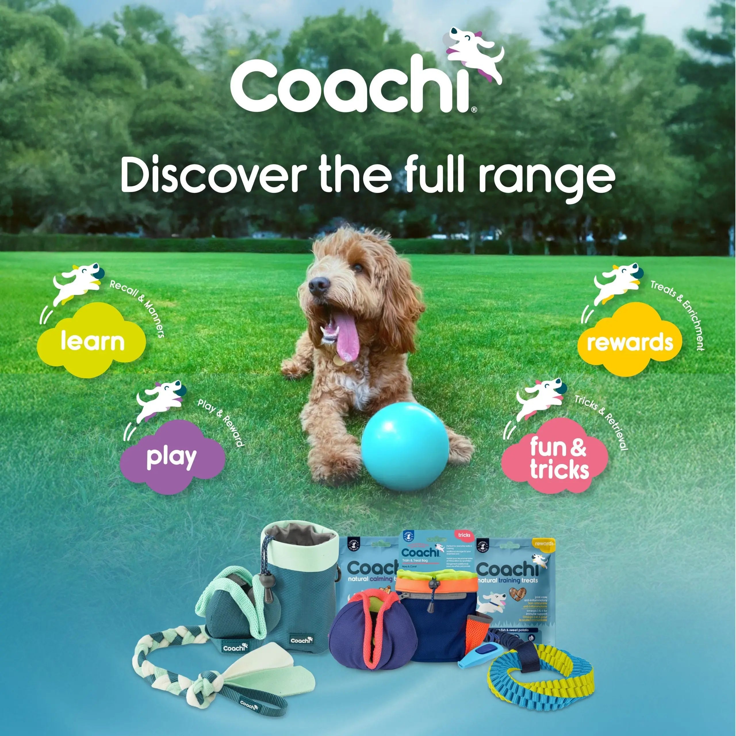 Company of Animals Coachi Boomi Ball Dog Ball Toy
