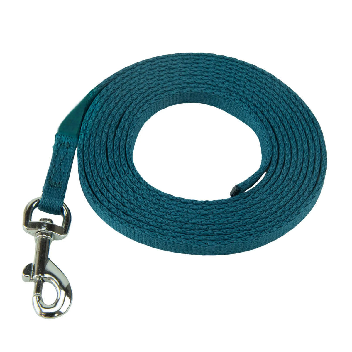 Company of Animals Coachi Lightweight Training Line Puppy & Mini