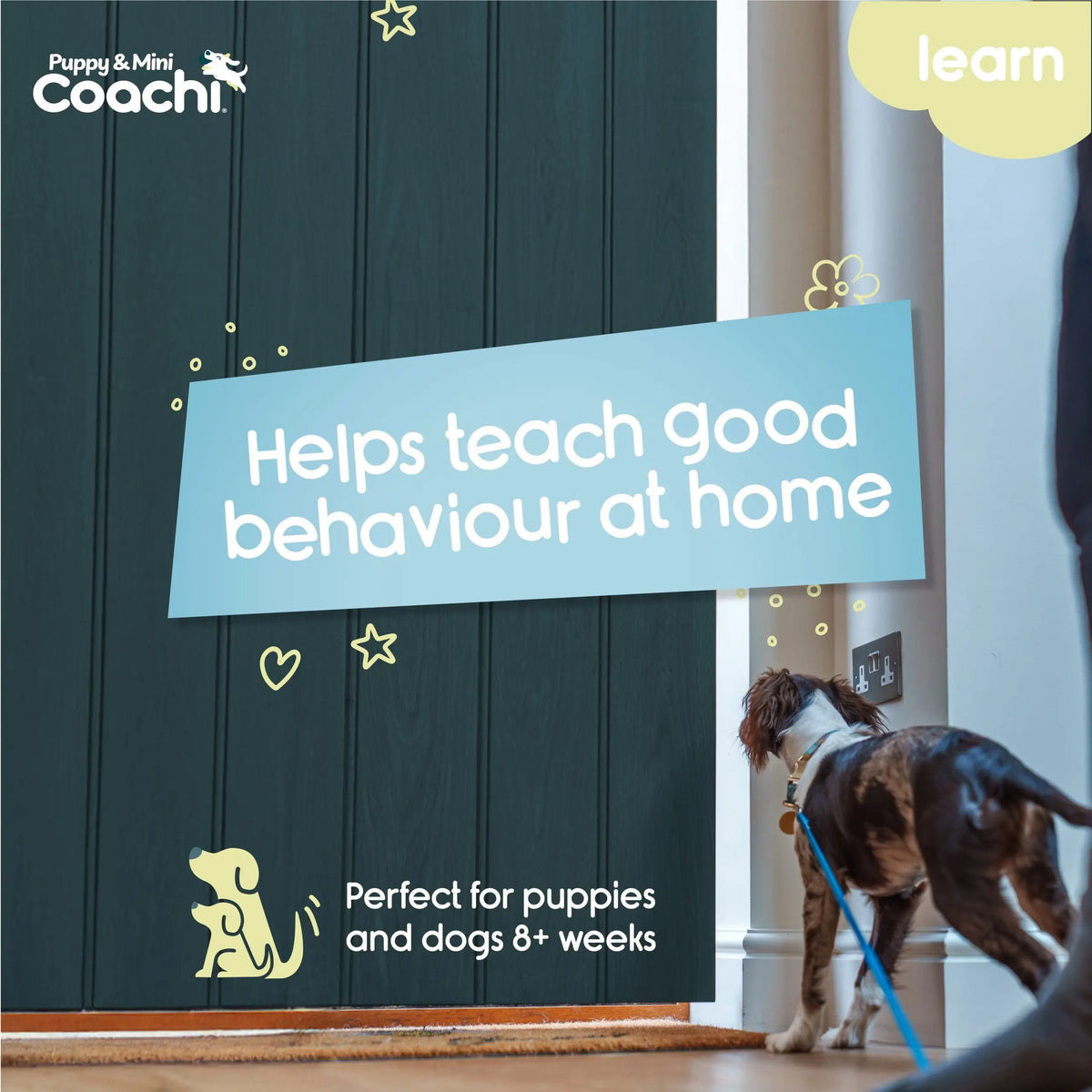 Company of Animals Coachi Lightweight Training Line Puppy & Mini