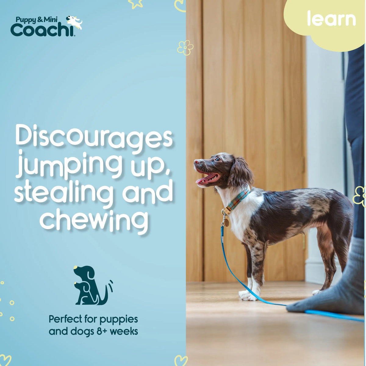 Company of Animals Coachi Lightweight Training Line Puppy & Mini