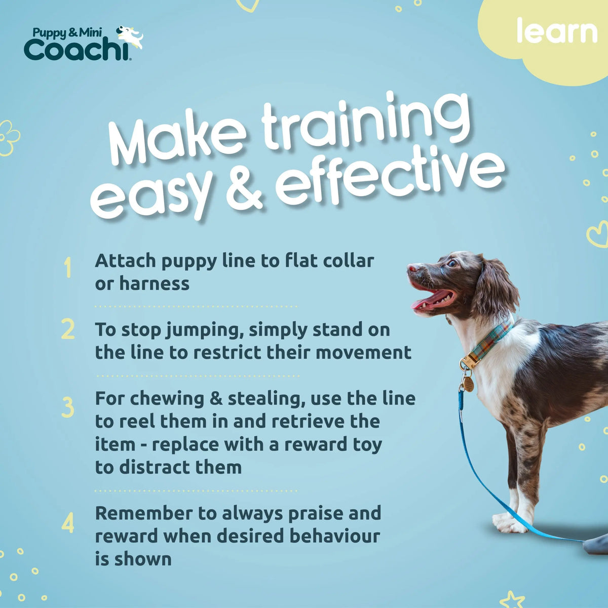 Company of Animals Coachi Lightweight Training Line Puppy & Mini