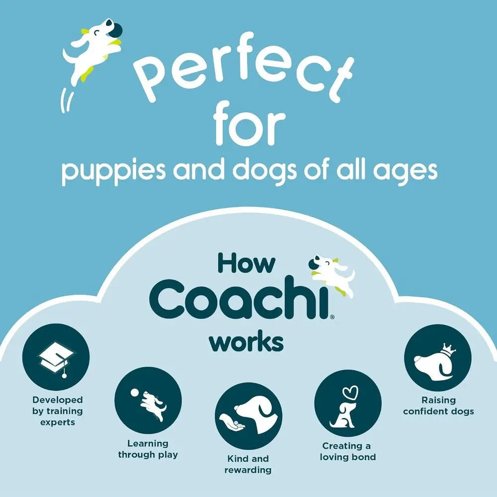 Infographic explaining how Coachi works for training puppies and dogs of all ages.