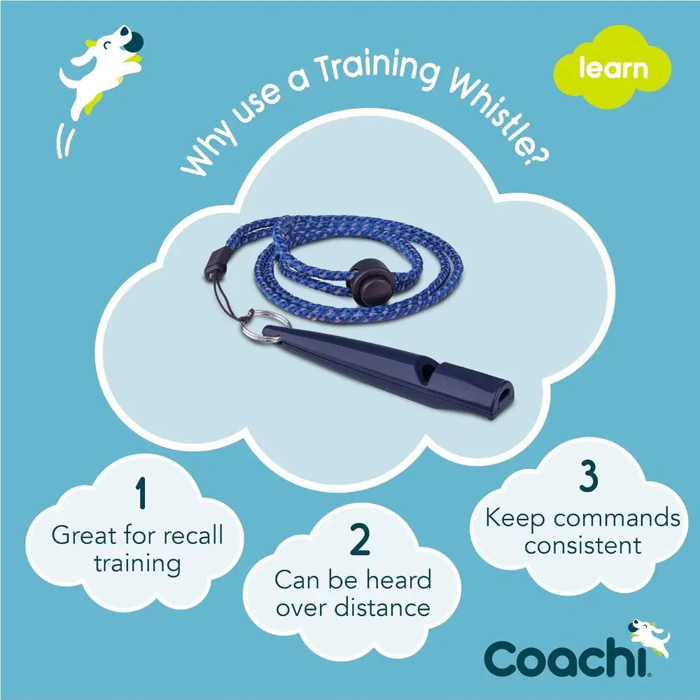Training whistle on a blue cord, ideal for dog recall and consistent command training.