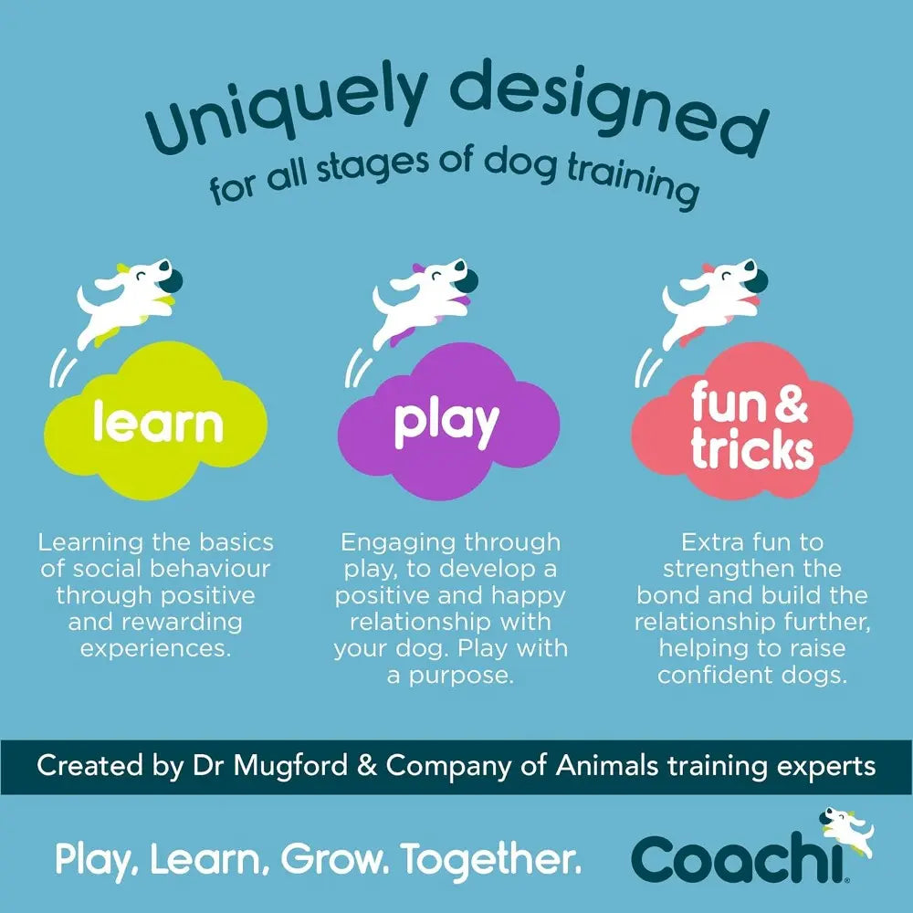 Dog training infographic highlighting learning, play, and fun tricks for a strong bond with pets.