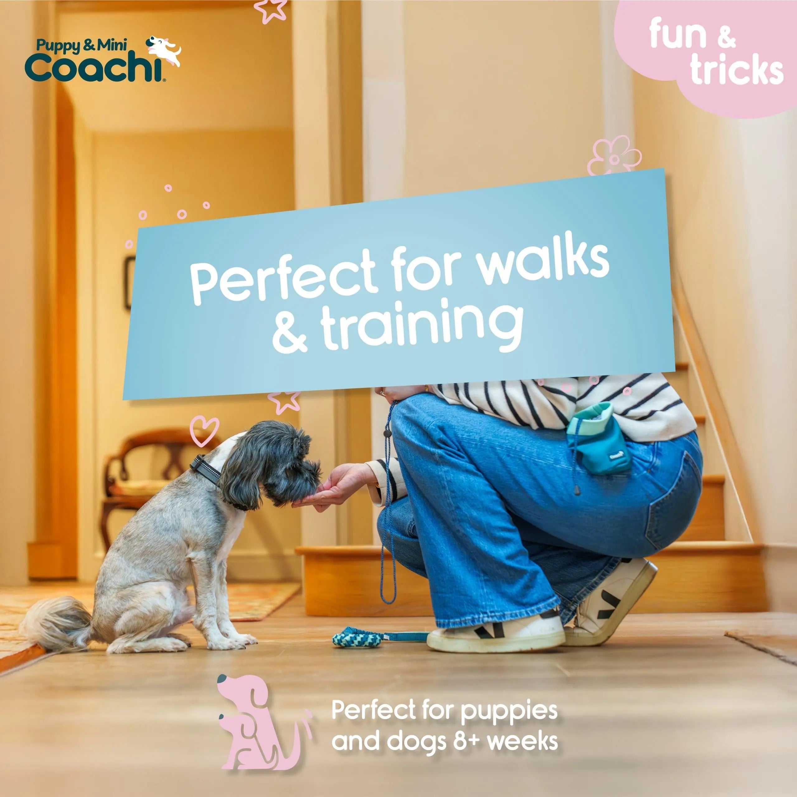 Company of Animals Coachi Treat Pouch Puppy & Mini