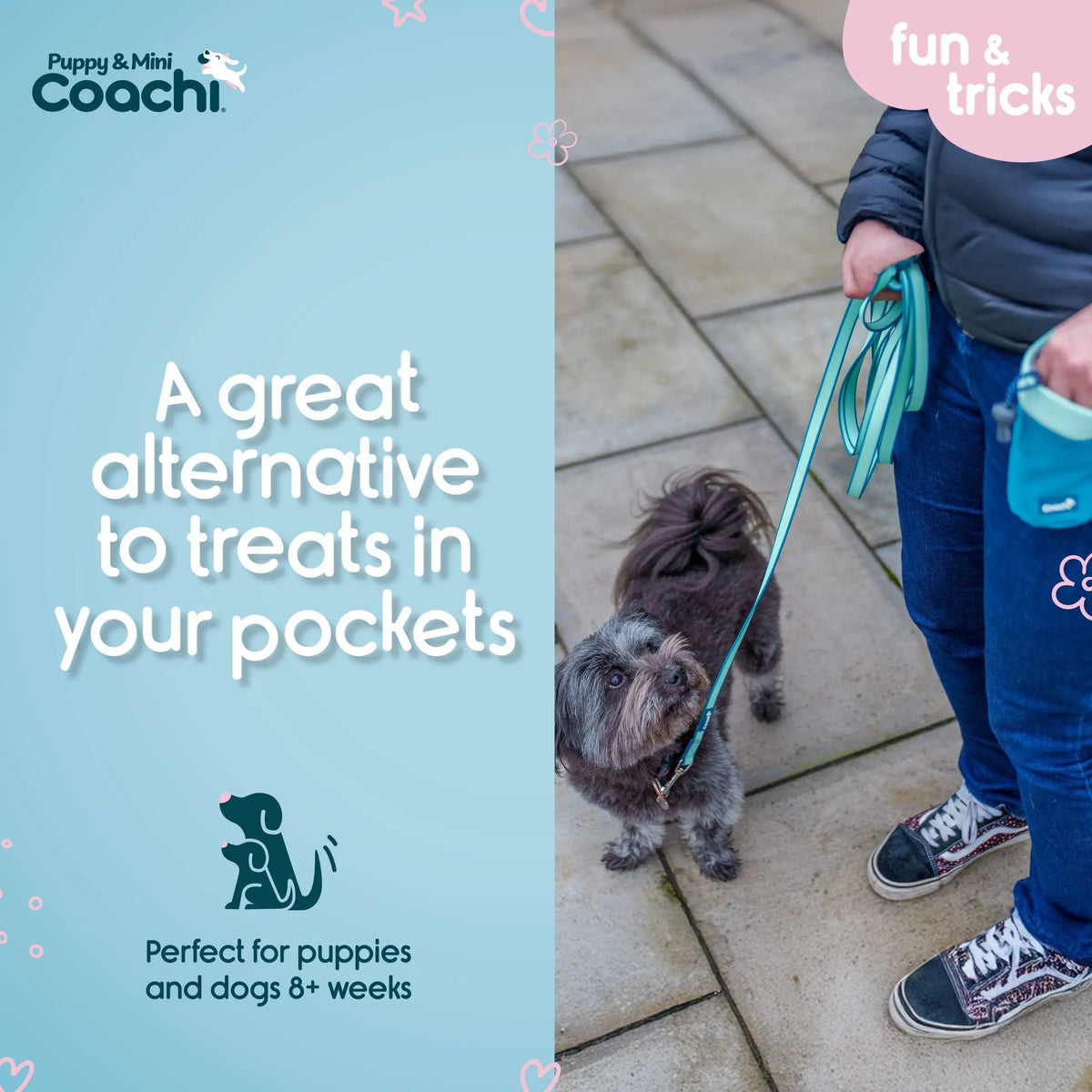 Company of Animals Coachi Treat Pouch Puppy & Mini