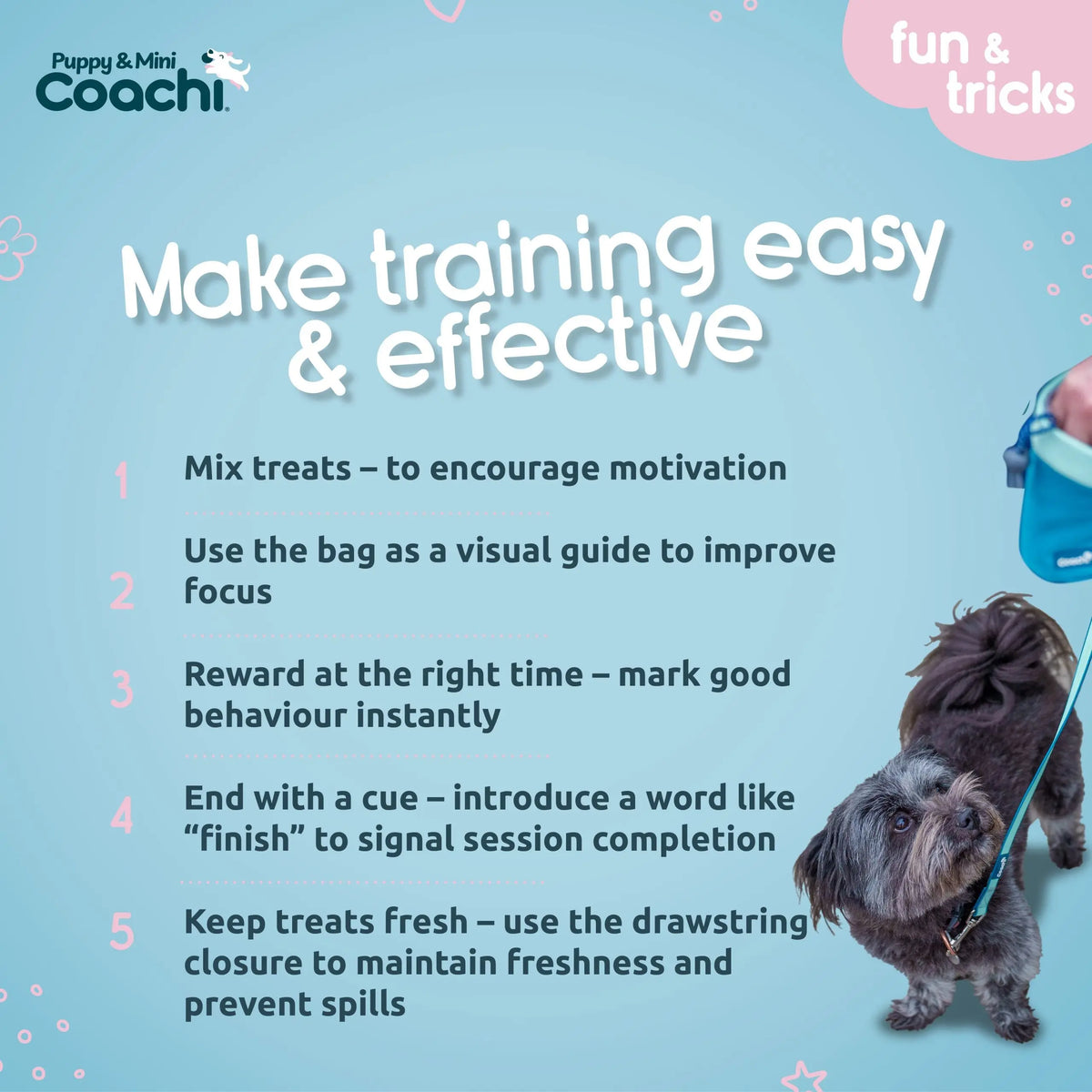 Company of Animals Coachi Treat Pouch Puppy & Mini