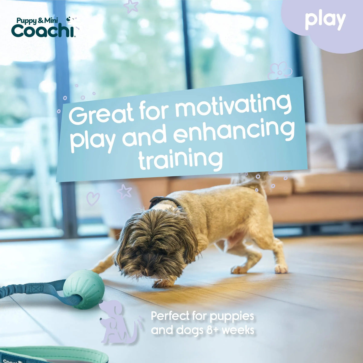 Company of Animals Coachi Tuggi Ball Puppy & Mini
